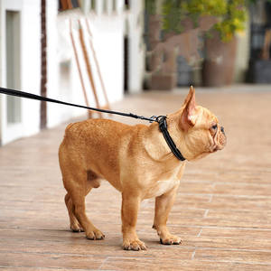 Hondenhalsband en riem met puppy cut stijl, reflecterend stippenpatroon, lintversiering, 100% nylon, waterdicht. - Product Image 2