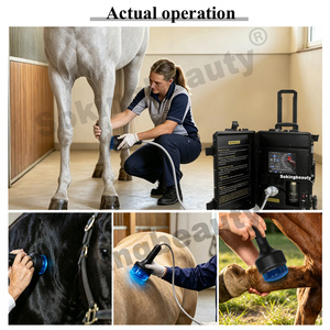 Appareil de thérapie par ondes de choc focalisées pour équidés, durable et réutilisable, avec sortie stable à long terme, <span class=keywords><strong>prix</strong></span> direct usine - Product Image 4