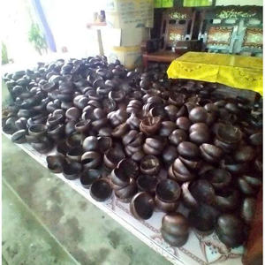 Casa para gatos de jacinto de agua, comederos y bebederos para mascotas, hogar de cáscara de coco natural, para alimentar perros, gatos y animales pequeños en casa, al aire libre y de viaje. - Product Image 2