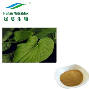 Fabrika kaynağı Vanuatu Kava özü 50% Kava ekstresi tozu - Product Image 1