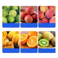Automatische milieuvriendelijke roestvrijstalen fruit- en groenteschilmachine voor kokosnoot, sinaasappel, citroen en citrusvruchten met 1 jaar garantie
