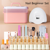 Un ensemble complet d'outils de soin des ongles novices Gel débutant professionnel ménage séchage rapide luminothérapie machine lampe Gel Kit