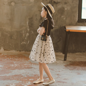 Nouvelle Robe de Performance Latine Premium en Tissu Net à Motif Western Bitter Fleabane, Fournisseur Chinois - Product Image 2