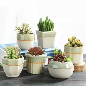 Pots à succulentes en céramique Evergreenwrap Crackle Glaze, petits, respirants, mini-jardinières pour balcon et bureau, soldes - Product Image 1