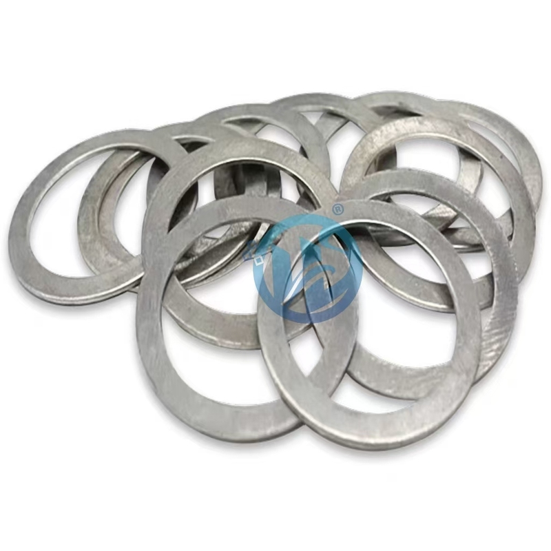 High Quality Sealing Gasket Flat Gasket