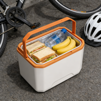 Glacière isotherme portable 5L en PP résistante à l'eau, design moderne, pour camping, plage, pique-nique, voyage
