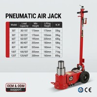 Cric hydraulique pneumatique robuste de 60 tonnes pour camions et autobus