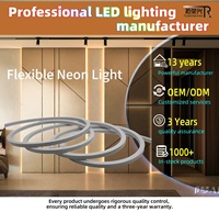 Bande LED néon flexible RGB 16*16, étanche, pour l'aménagement de salle de jeu, éclairage d'ambiance RGB