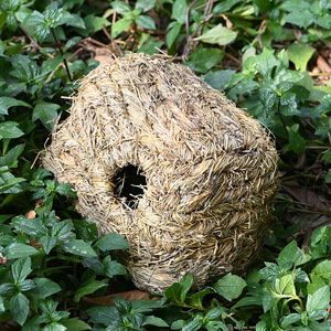 Casa de Hierba de Montaña Hecha a Mano Ecológica y en Oferta para Mascotas Pequeñas: Conejos, Chinchillas, Hámsters, Erizos, Cobayas - Uso Exterior - Product Image 3