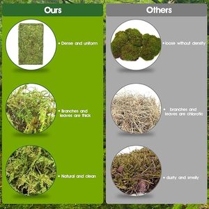 Natural Compressed Dry Accessories Cool Climbing Turtle Hibernating Winter Moisturizing <strong>Moss</strong> Mat Reptile Supplies Sphagnum <strong>Moss</strong> - Product Image 6