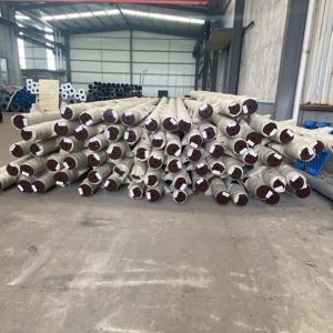 8m 9m 10m מנורת פוסט חם טבל מוטות מגולוון חיצוני רחוב אור השמש מקור המפעל - Product Image 4