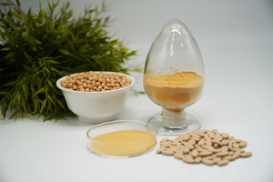 โรงงานอุปทานที่มีคุณภาพสูงป่าหอยนางรมสารสกัดจากผง - Product Image 5