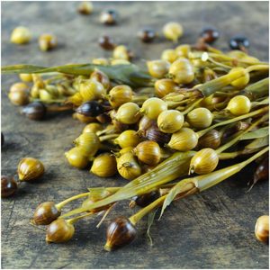 [HOT] Dried COIX <b>SEED</b>-High Grade Vietnam Origin Export Wholesale Best Price - Product Image 6