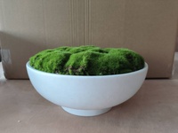 Pot de fleur en céramique blanche de 10 "avec support au milieu du siècle grands bols de jardinière succulente jardinières pour plantes d'intérieur