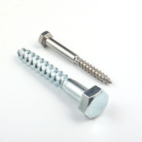 WXSNY Stainless Steel 304 316 Hex Head Lag Bolt Heavy Duty Hexagon Wood Screw Fasteners for Outdoor Decking Fixing