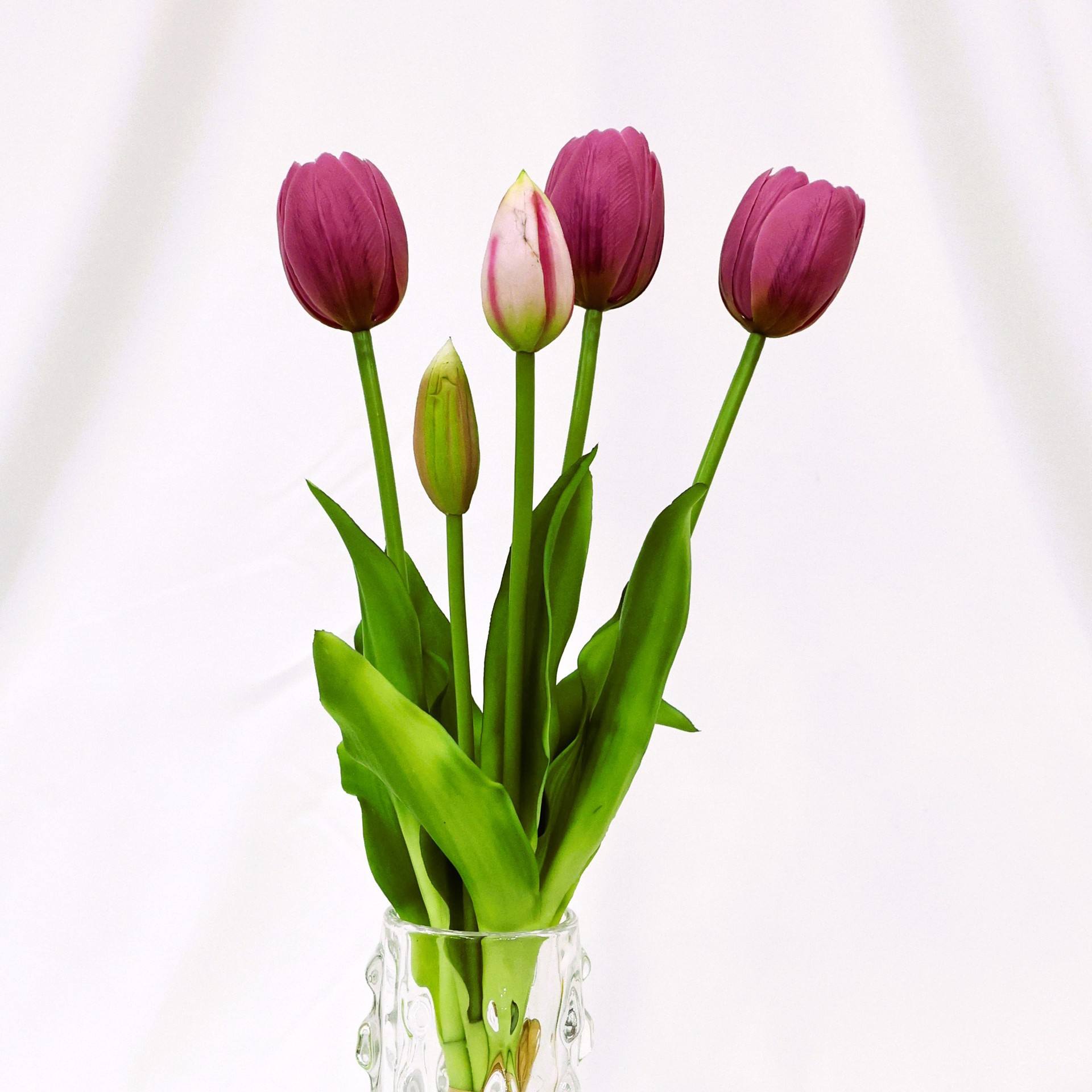 สีม่วงอ่อน