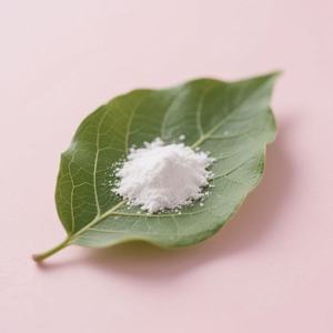 Poudre de chaux hydratée Hydroxyde de calcium Blanc Marque HONGYU Pureté 95%-99,5% Certifié ISO9001 200-1200 Mesh <span class=keywords><strong>Métaux</strong></span> lourds - Product Image 5