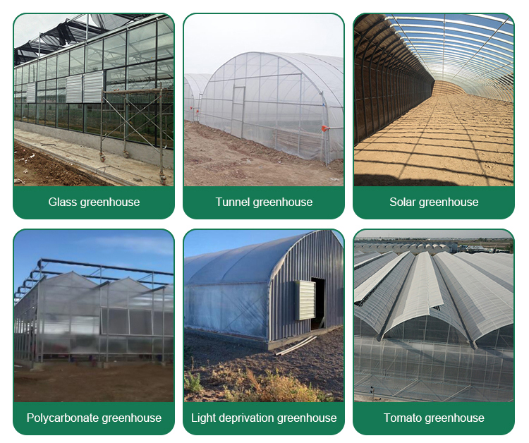 Cheap Tomato Agricultural Plastic Film Cover Low Cost Economic Tunnel Greenhouse For Vegetable