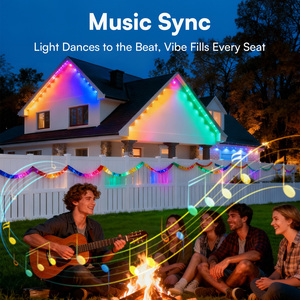 IP65 Waterproof LED Outdoor <b>Light</b> 15m 5050 RGB Remote for Control Color-changing Decoration - Product Image 3