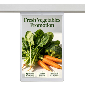 Double-Sided Hanging Advertising Display Sign 10.1 Inch Tft Lcd Electronic <b>Shelf</b> Label Esl Digital Price Sign For Retail Shop - Product Image 1