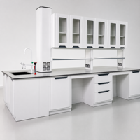 Console de contrôle centrale multifonction tout acier, poste de travail de laboratoire de qualité industrielle tout acier avec prises de courant et évier