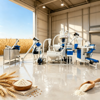 Ligne de production de farine de blé à alimentation automatique : réduit l'engagement manuel, augmente l'efficacité de travail pour les petites usines de farine