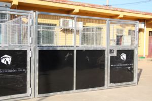 Écurie pour chevaux en panneaux HDPE durables avec cadre en acier galvanisé, faible entretien, pour ranch - Product Image 5