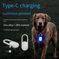 Lampe LED rechargeable USB RGB à clipser pour chien, pendentif lumineux étanche pour collier de chien, lumière LED pour la sécurité des promenades en extérieur
