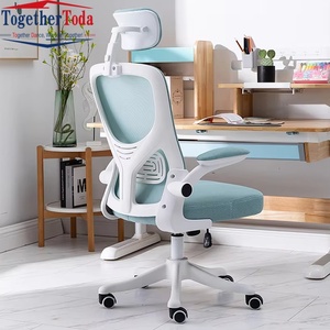 Chaise de bureau ergonomique moderne en maille avec accoudoirs réglables, couleur fraîche, usage commercial, base en acier inoxydable, garantie 5 ans - Product Image 1