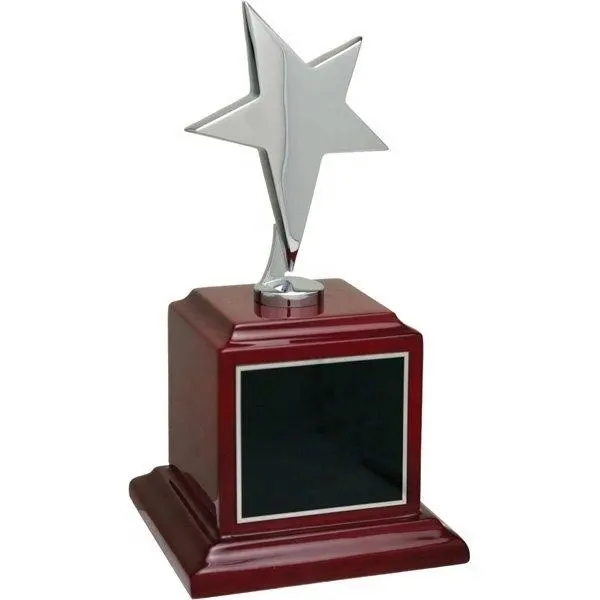 Parlak ahşap trophy plaketler ile gümüş metal yıldız