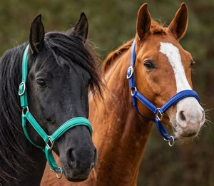 Cabestro de Cuero Vacuno Suave de Primera Calidad para Caballo con Herrajes de Acero Inoxidable, Diseño Duradero y Cómodo, Aspecto Elegante - Product Image 2