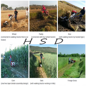 Cabezal Cosechador de 4 Filas para la Cosecha de Arroz, Trigo, <span class=keywords><strong>Cebada</strong></span> y Mijo en Campos Agrícolas Grandes - Product Image 4