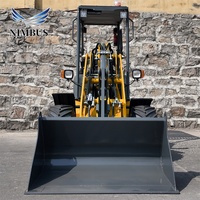 Caricatore Elettrico NIMBUS ad Alta Efficienza e Basse Emissioni, Cabina Opzionale Disponibile, Adatto per Cantieri Edili