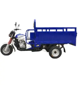 中国制造雅隆品牌高品质200cc 250cc三轮车货物运输三轮车摩托车