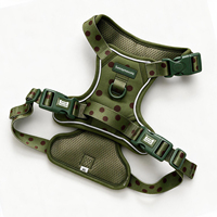 Ensemble de harnais pour chien personnalisé, réglable, anti-traction, réfléchissant, pour la promenade et l'entraînement en extérieur, pour chiens de petite et moyenne taille