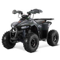 Tao Motor 2025 Nouvelle Quad 110cc Pas Chère pour Enfants