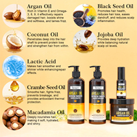 Shampoo à l'huile d'argan sans sulfate pour la croissance des cheveux, shampooing anti-chute avec huile de macadamia, naturel pur, vente en gros en marque privée
