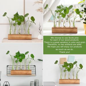 Stations de propagation, terrarium pour plantes avec support en bois, 5 vases en verre en forme de tubes à essai, cadeaux d'anniversaire pour femmes, mamans, amateurs de plantes - Product Image 4