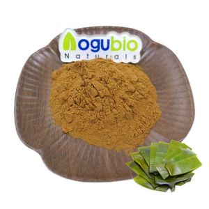 Rifornimento della fabbrica di fucoidina in polvere integratore alimentare 50% naturale estratto di alghe Fucoidan in polvere - Product Image 1