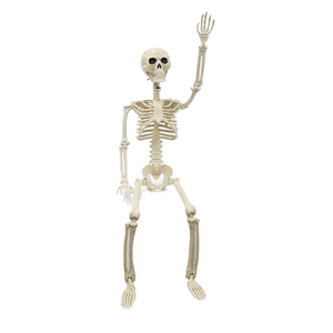Esqueleto de tamaño real de plástico de alta calidad para Halloween - Product Image 4