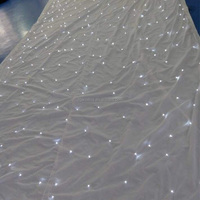 Rideau LED DMX en velours avec étoiles pour mariage, Noël, fête, toile de fond de plafond, lumières de rideau d'étoiles de haute qualité