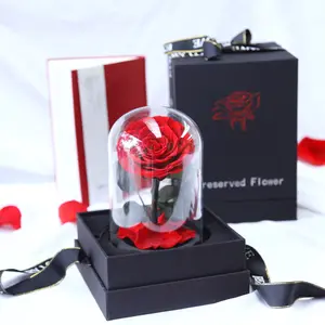 S0306 2023 New Wholesale decorative flowers Mothers Day Gift Preserved rose in glass dome Eternal Rose for Valentines Day