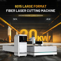Potente Máquina de Corte por Láser de Fibra Metálica 6015 de Alta Precisión, Diseñada para un Corte Rápido de Gran Formato, Confiable
