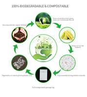 Sacs d'emballage pour chaussettes en plastique PLA 100% biodégradable et compostable, autocollants, 35*40+3cm, 50 pièces/sac, vente en gros