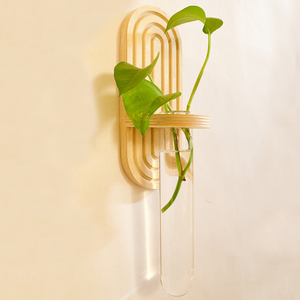Station de propagation hydroponique murale <span class=keywords><strong>en</strong></span> <span class=keywords><strong>bois</strong></span> arc-<span class=keywords><strong>en</strong></span>-ciel, vase <span class=keywords><strong>en</strong></span> verre pour tubes à essai, support pour plantes d'intérieur - Product Image 5
