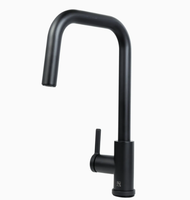 Robinet de cuisine moderne en laiton à double poignée avec douchette extractible et valve en céramique, eau potable directe pour appartements et cuisines d'hôtel