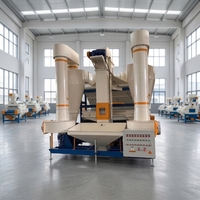 Nettoyeur de graines industriel combiné, machine de nettoyage de graines à haute performance, équipement de traitement des graines