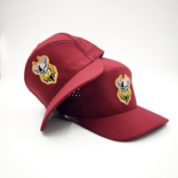 Gorras de Golf Transpirables y Ajustables con Malla, Cierre a Presión, Bordado a Mano de Leopardo, Patrones de Frutas con Puntos Dobby, para Hombres, Actividades al Aire Libre