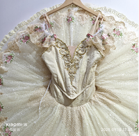 Nouveaux Costumes de performance de ballet classique professionnel haut de gamme Vêtements de tutu de crêpes attrayants