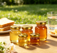 Stoples Madu Kaca Mini dengan Tutup Emas, Stoples Kaca Kecil Kosong untuk Madu, Selai, Suvenir Pernikahan, Penyimpanan Makanan